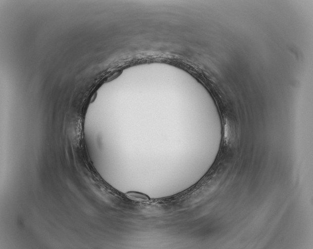X0000111511492200908111257
