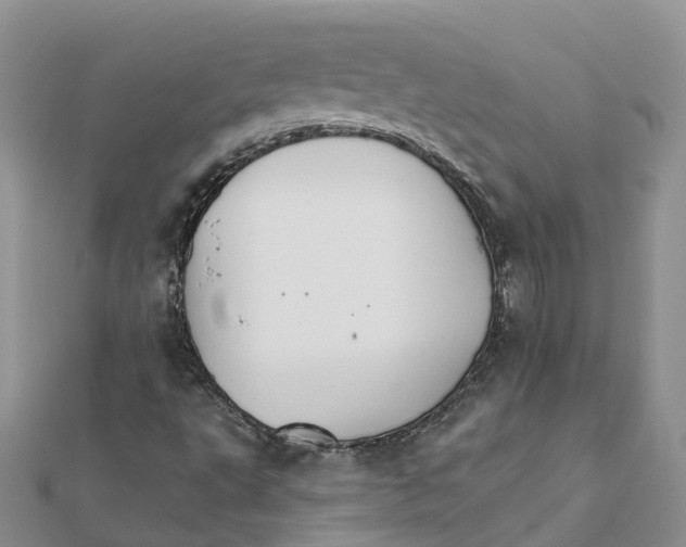 X0000111511495200908111257