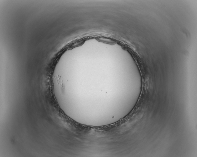 X0000111511496200908111257