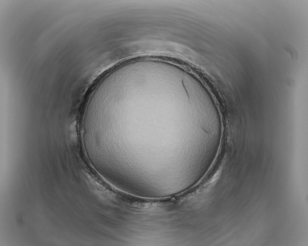 X0000111511497200908111257