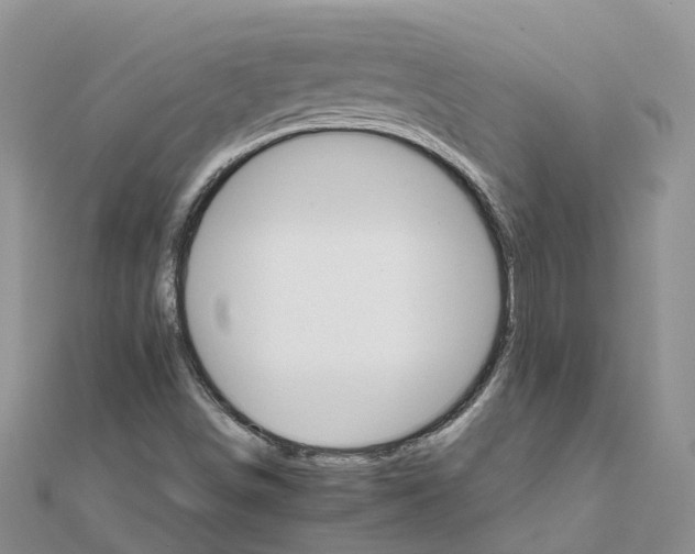 X0000111511498200908111257