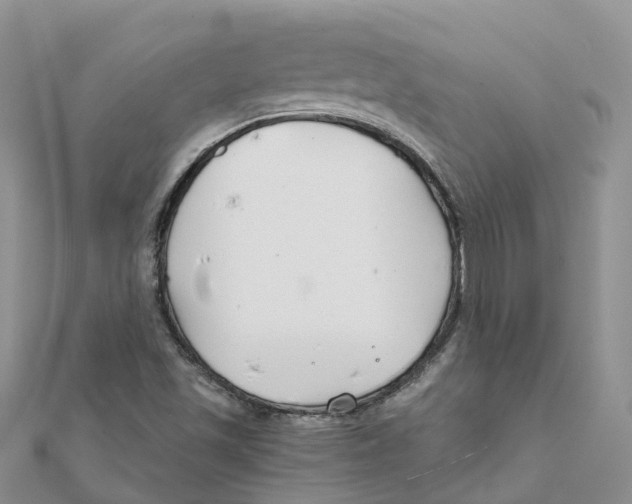X0000111511501200908111257