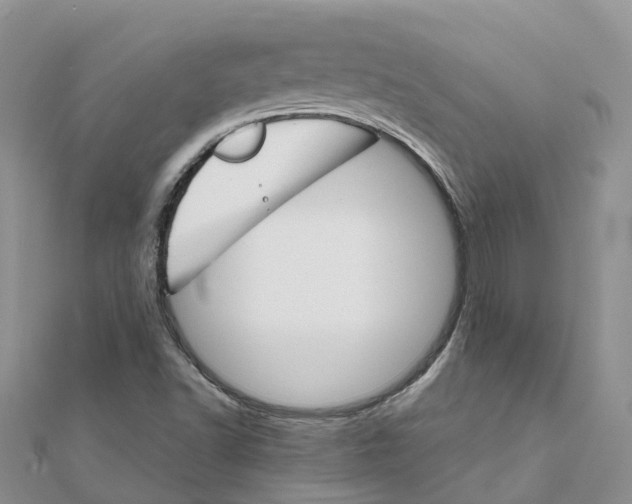 X0000111511502200908111257