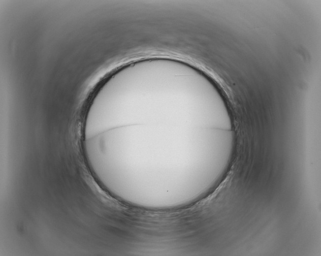 X0000111511503200908111257