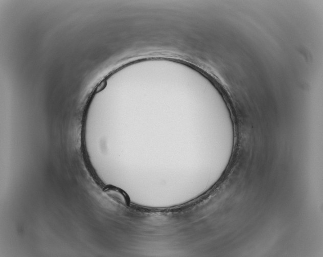 X0000111511504200908111257