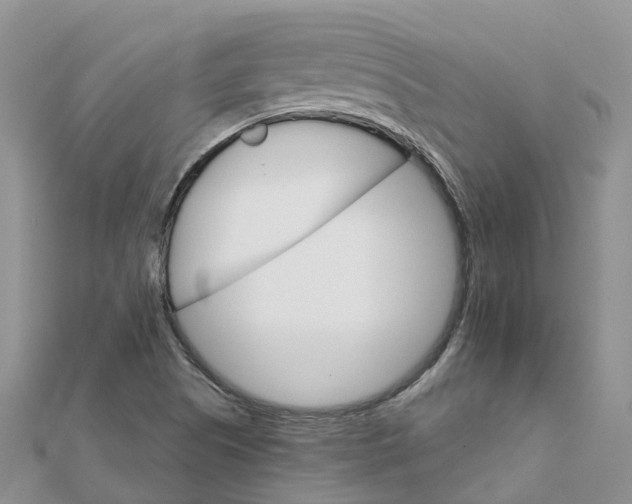 X0000111511505200908111257