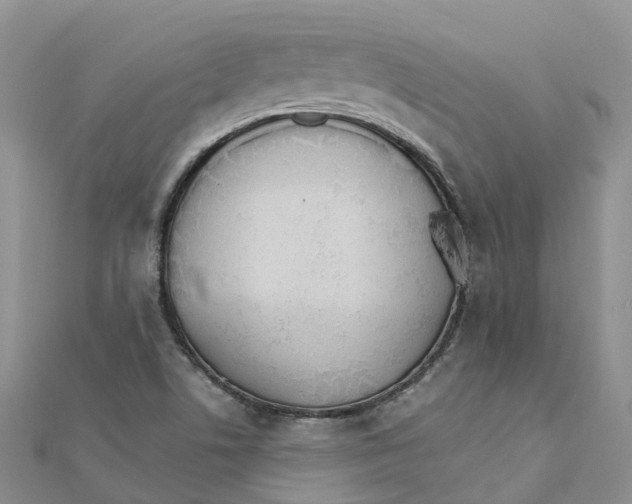 X0000111511506200908111257