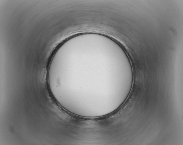 X0000111511507200908111257