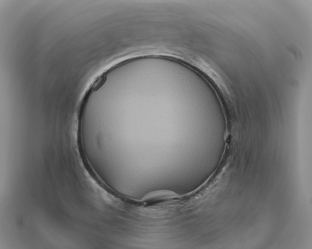 X0000111511508200908111257
