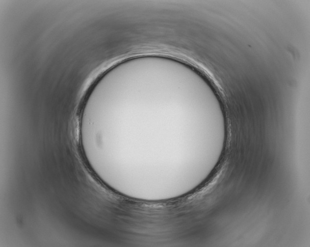 X0000111511509200908111257