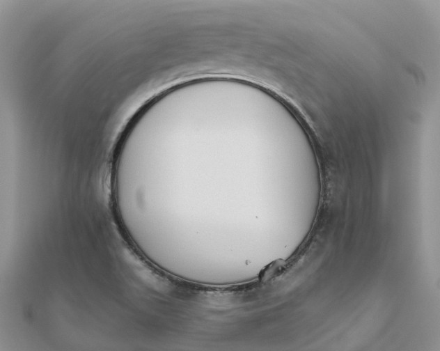 X0000111511511200908111257