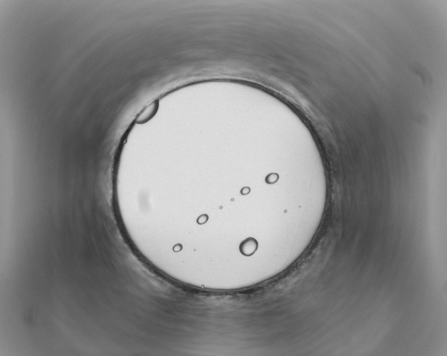 X0000111511512200908111257