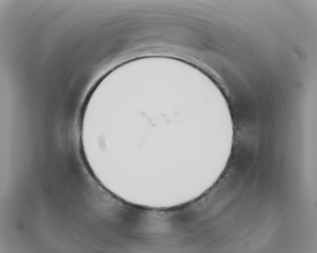 X0000111511514200908111257