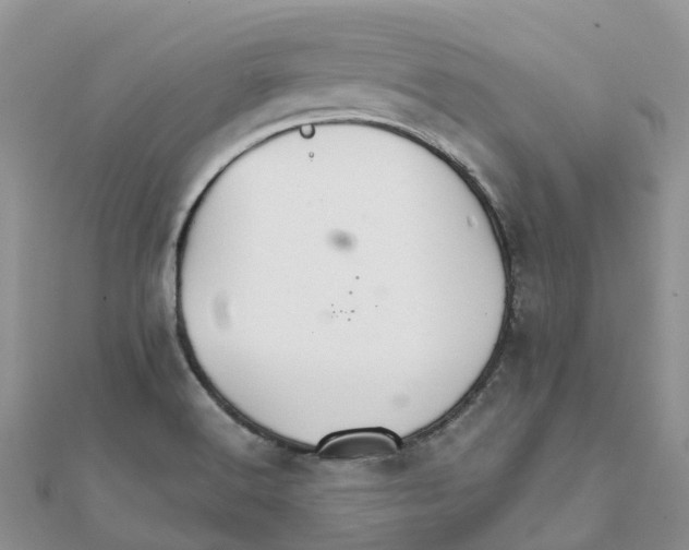 X0000111511516200908111257