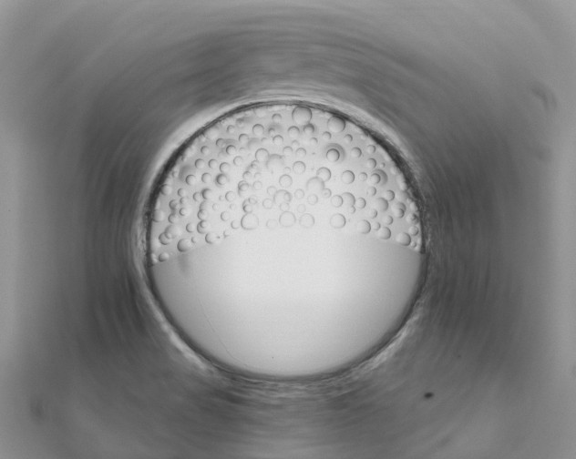 X0000111511517200908111257