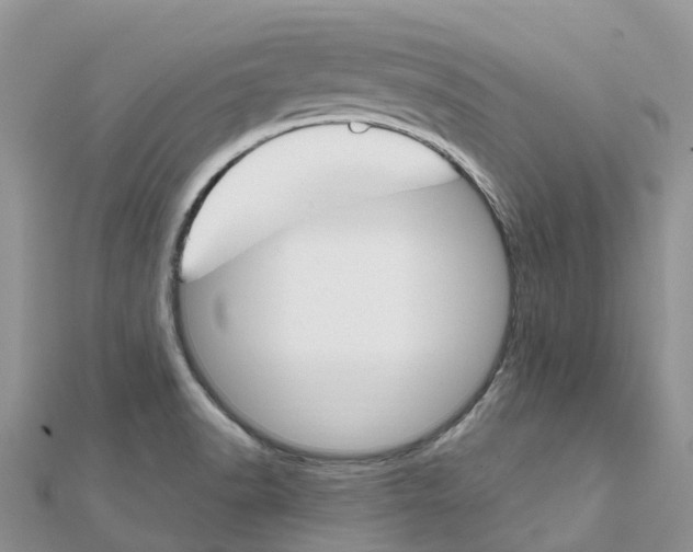 X0000111511518200908111257
