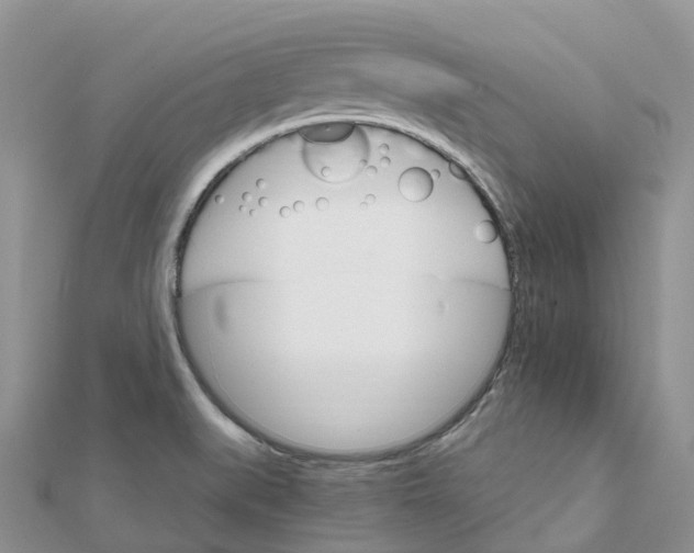 X0000111511519200908111257