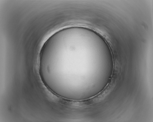 X0000111511520200908111257