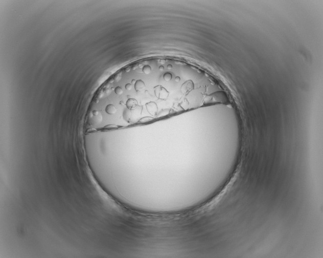 X0000111511521200908111257