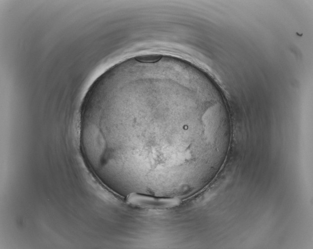 X0000111511522200908111257