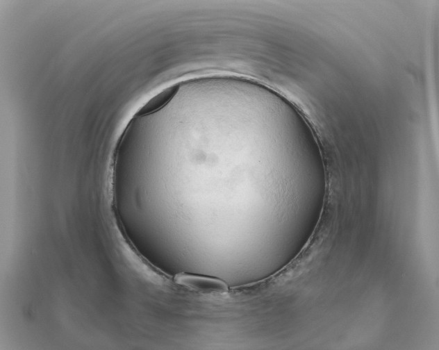 X0000111511524200908111257