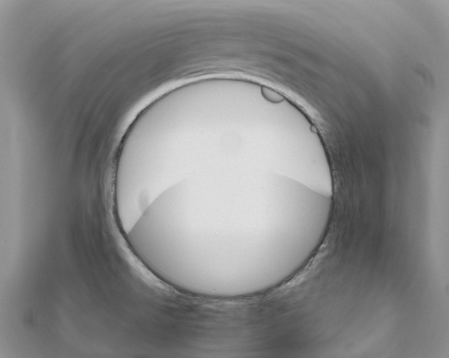 X0000111511526200908111258