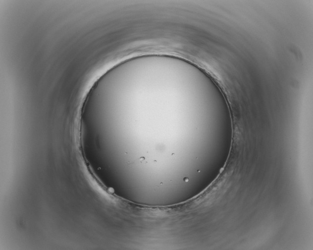 X0000111511528200908111258