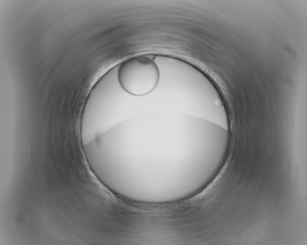 X0000111511529200908111258