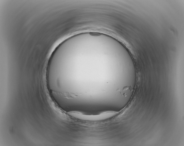 X0000111511530200908111258