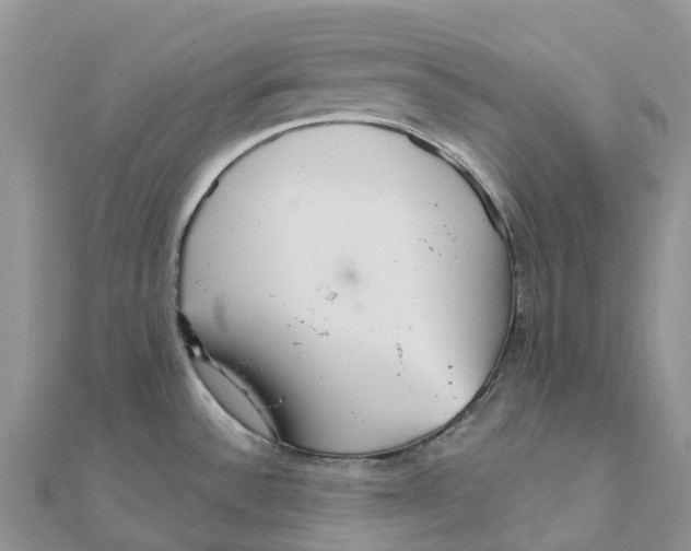 X0000111511532200908111258