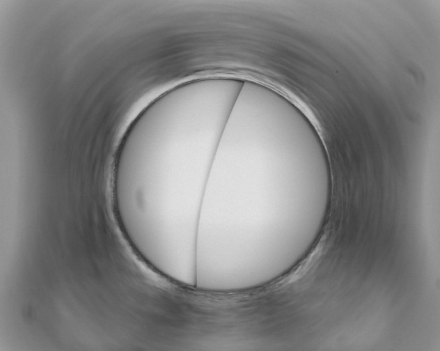 X0000111511533200908111258