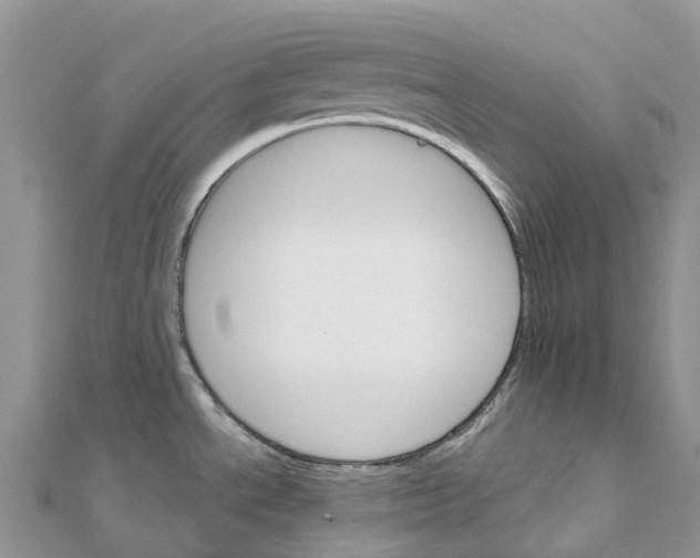 X0000111511534200908111258