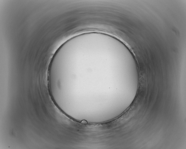 X0000111511535200908111258