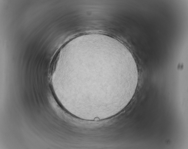 X0000111510002200908251124