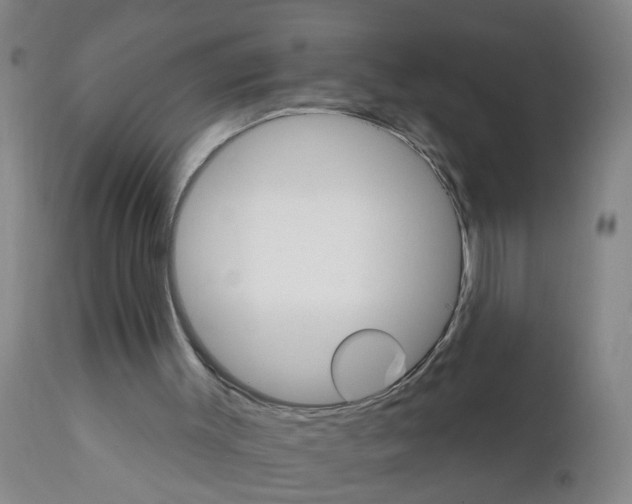 X0000111510003200908251124