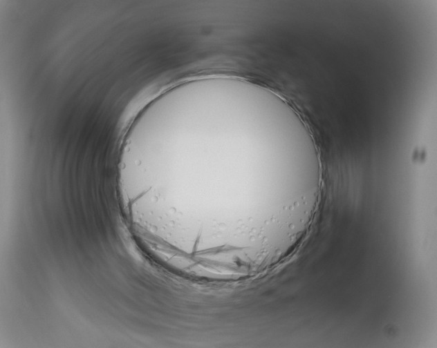 X0000111510004200908251124