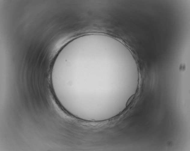 X0000111510005200908251124