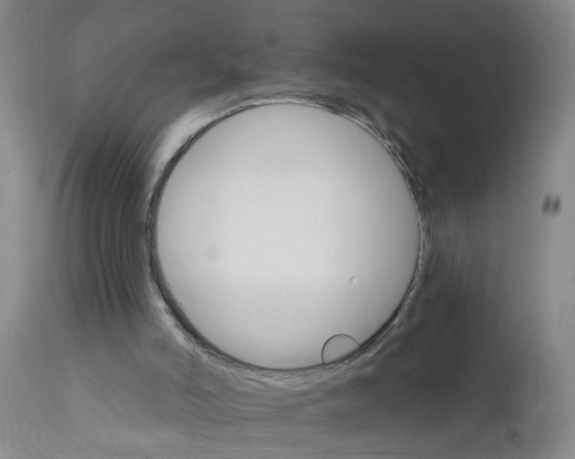 X0000111510006200908251124