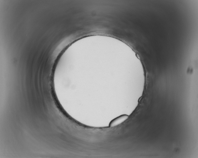 X0000111510007200908251124