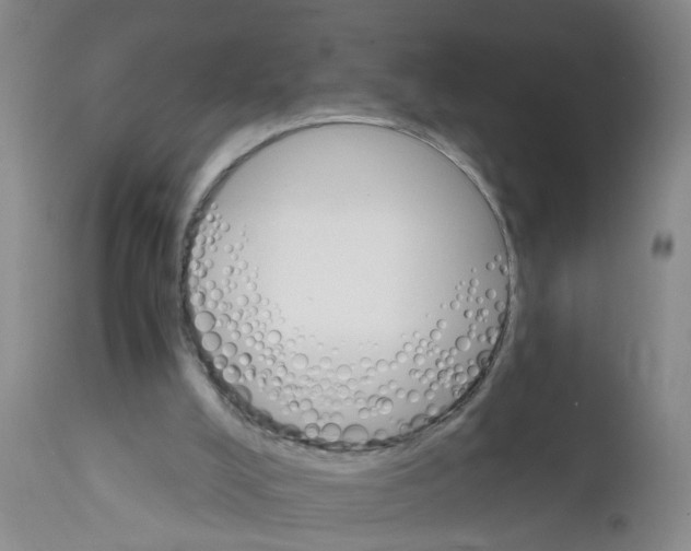 X0000111510008200908251124