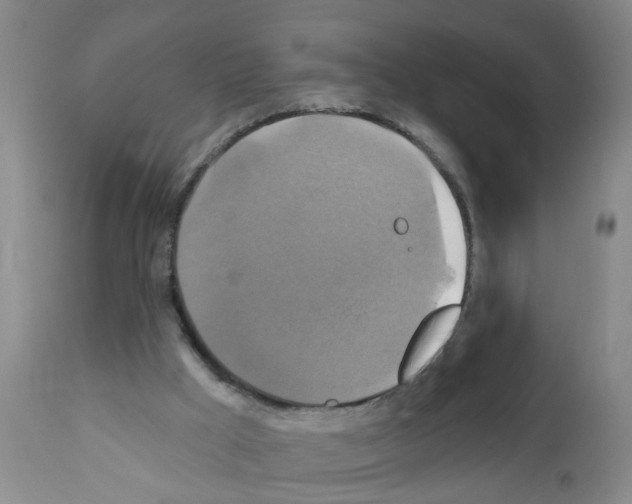 X0000111510009200908251124