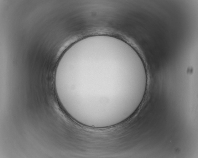 X0000111510010200908251124