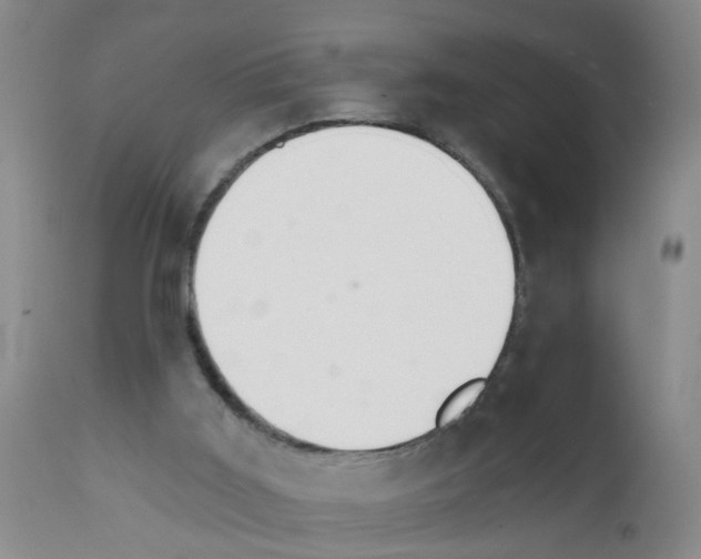 X0000111510011200908251124