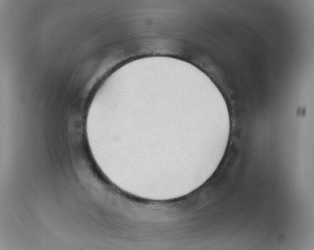 X0000111510012200908251124