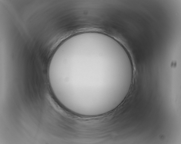 X0000111510013200908251124