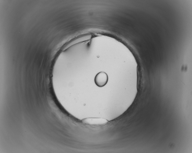 X0000111510015200908251124