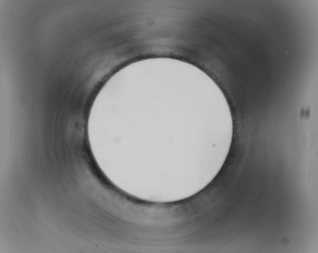 X0000111510016200908251124