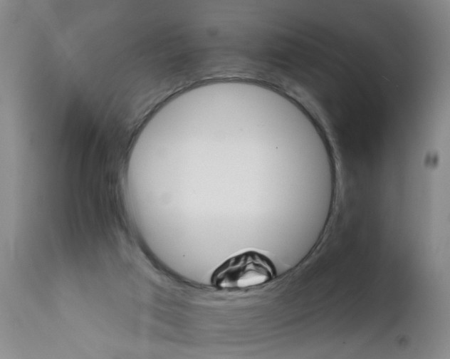 X0000111510017200908251124