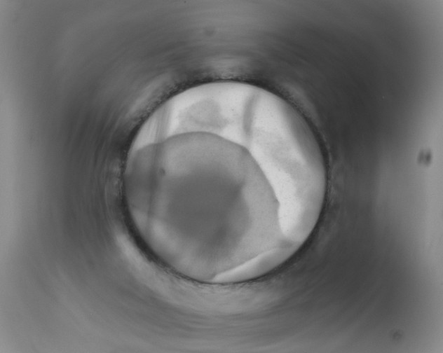 X0000111510018200908251124