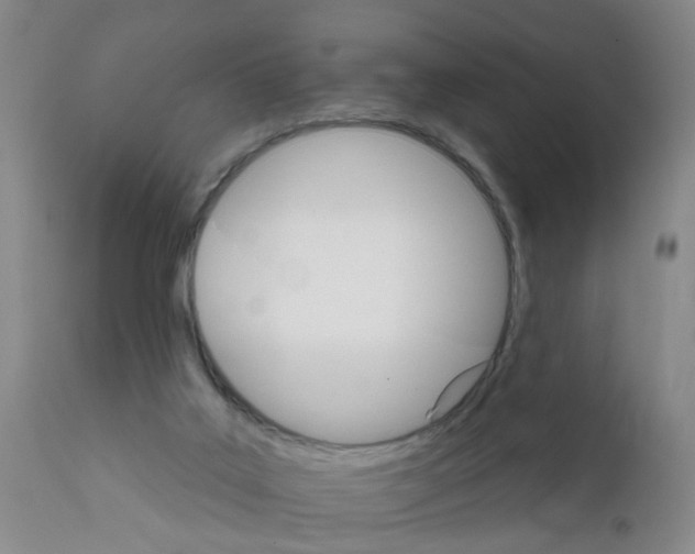 X0000111510019200908251124